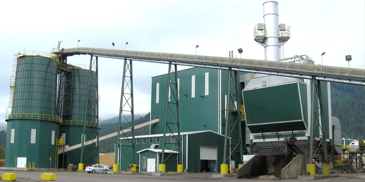 Wellons Field Erected Biomass Boiler